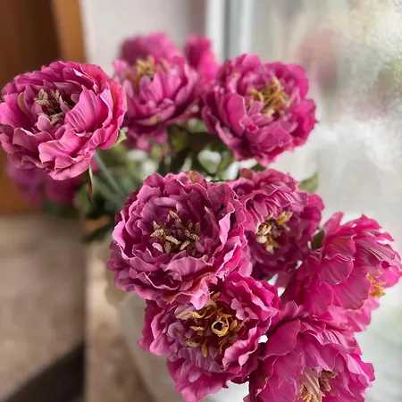 Haus Berlin Steinhude Am Steinhuder Bed & Breakfast Wunstorf